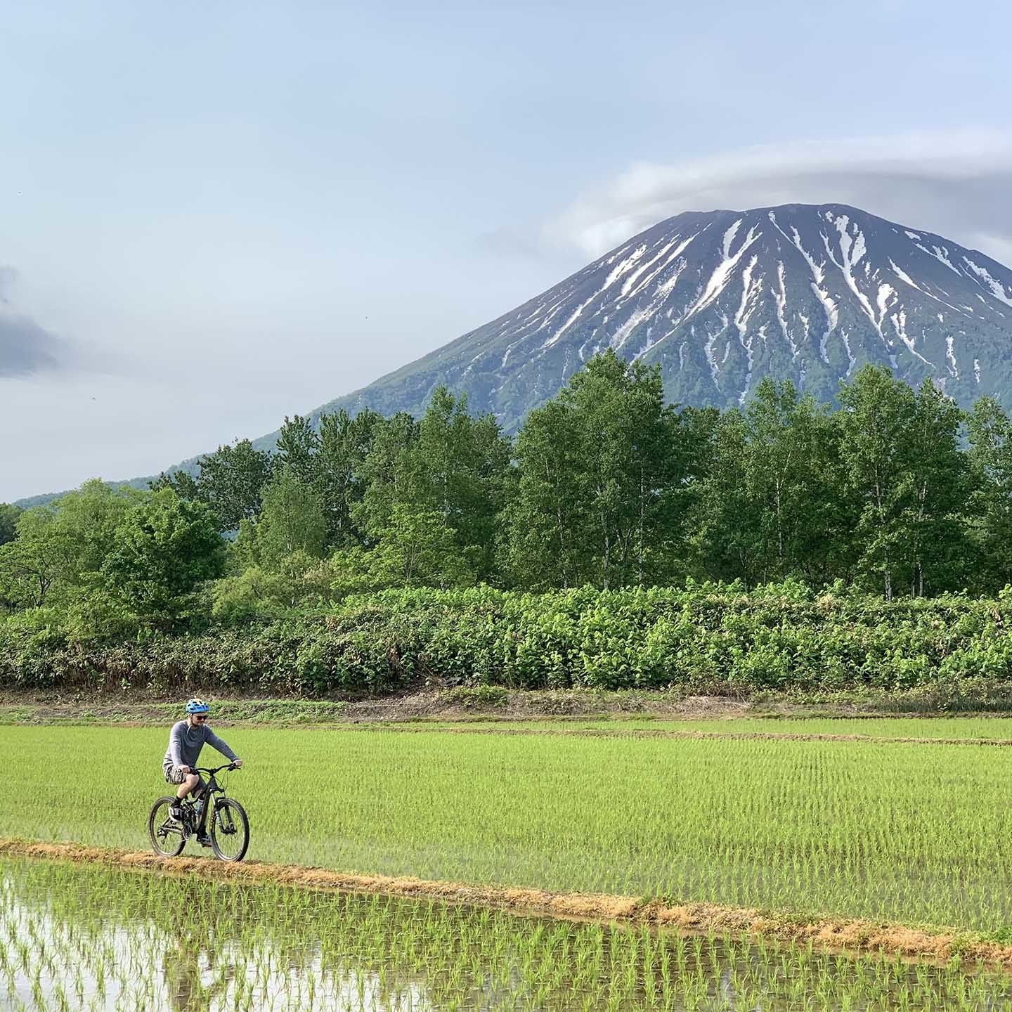 サイクリング in ニセコ