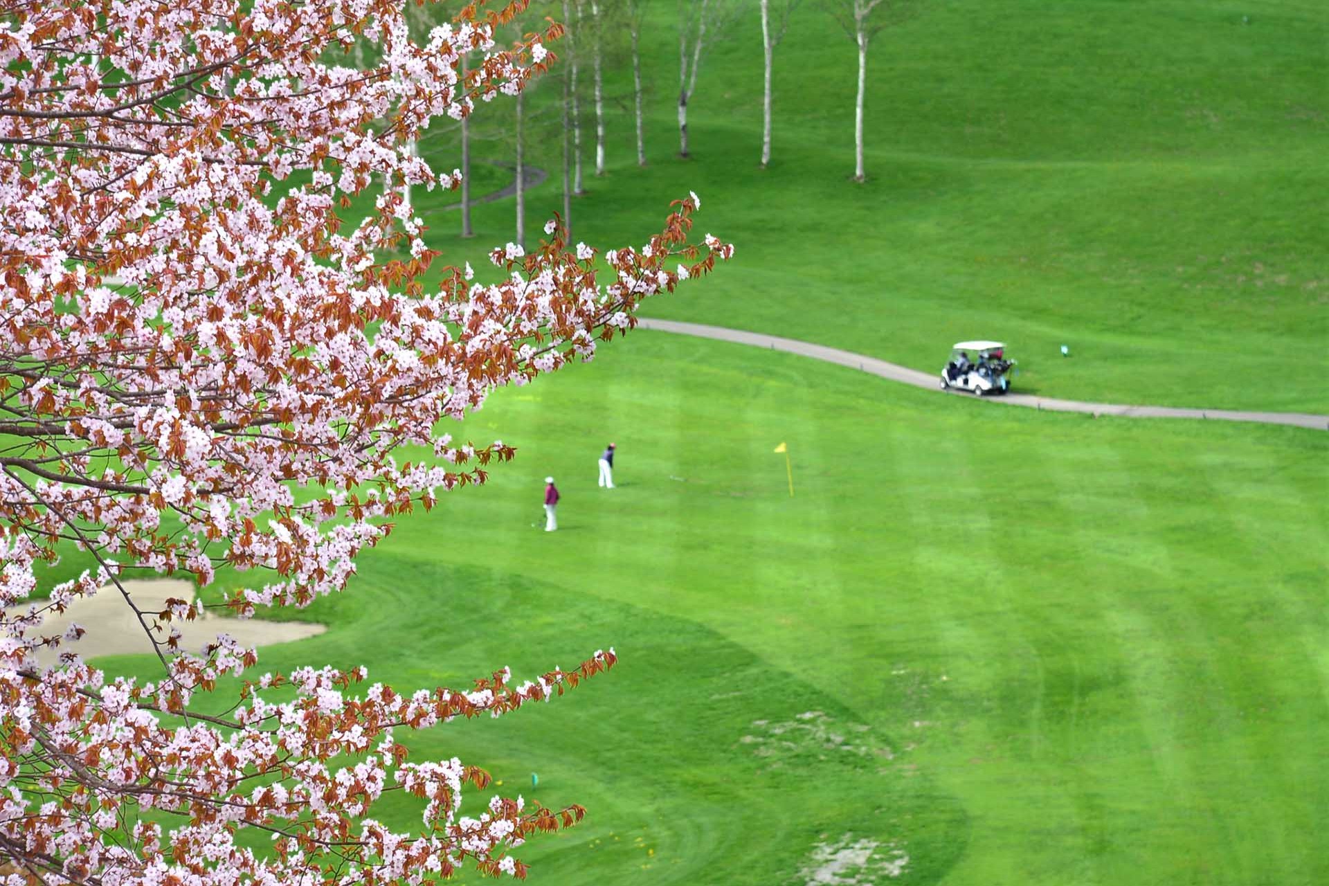 Niseko Golf Opening Dates