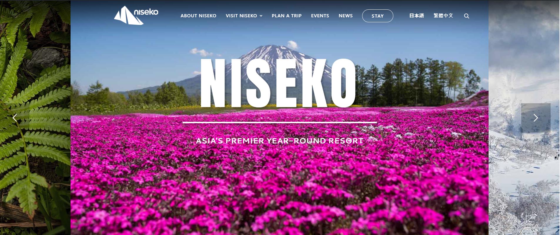 Niseko Tourism Website